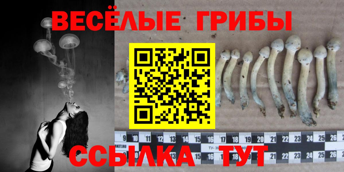 Тольятти  Псилоцибиновые грибы Cubensis  Вход с VPN 